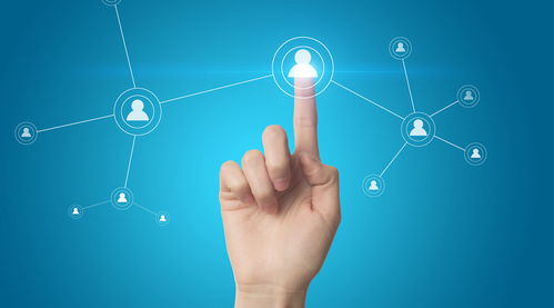 成都軟件開發(fā)的技術水平保障策略