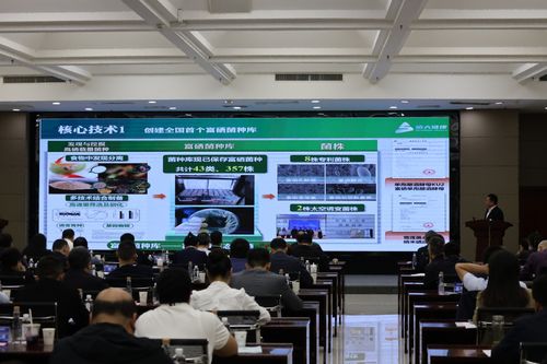 2025企創(chuàng)融通匯富硒產(chǎn)業(yè)專題現(xiàn)場活動(dòng)成功舉辦，信息技術(shù)咨詢服務(wù)賦能產(chǎn)業(yè)升級(jí)