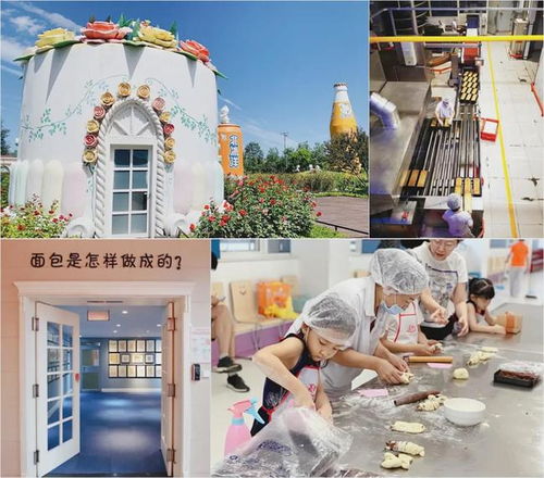 文旅融合新花樣 食品工廠參觀與沉浸體驗引領(lǐng)旅游文化發(fā)展